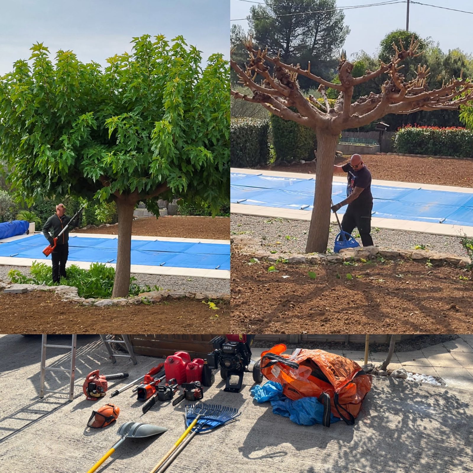 Entretien de jardin à Régusse (83630)