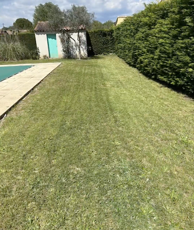 Tonte pelouse - Débroussaillage