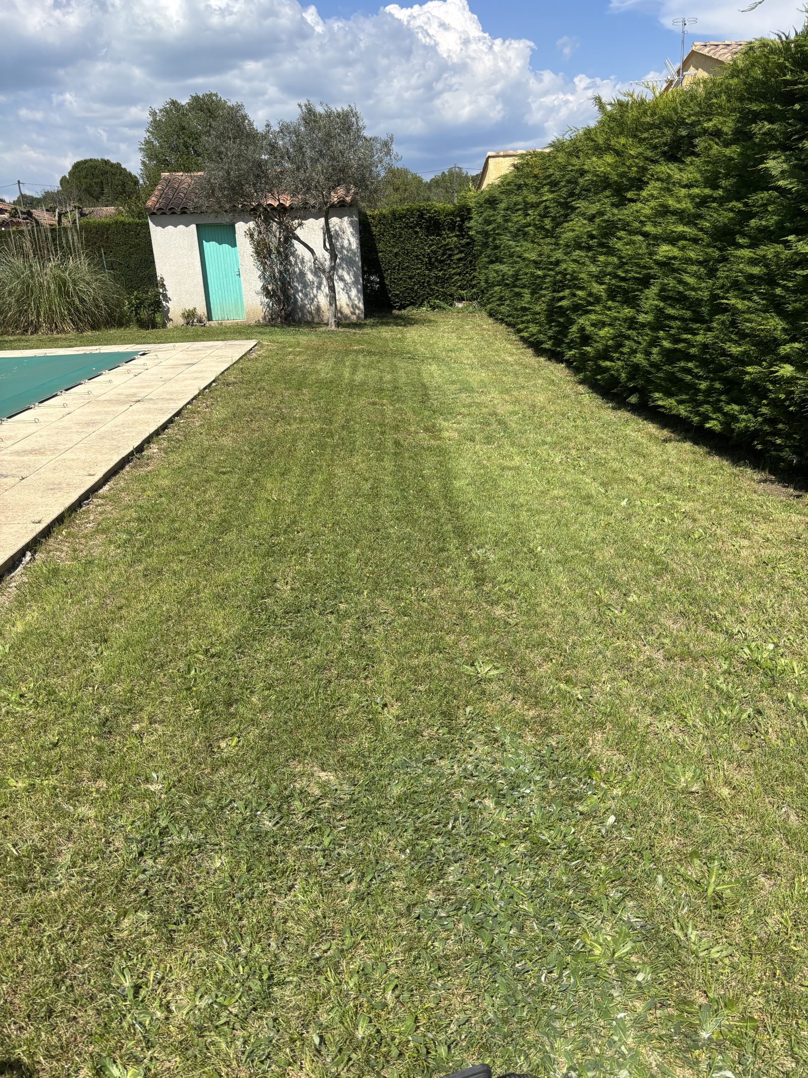 Tonte de jardin. à Regusse